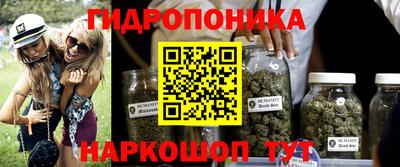 дмт Волжск