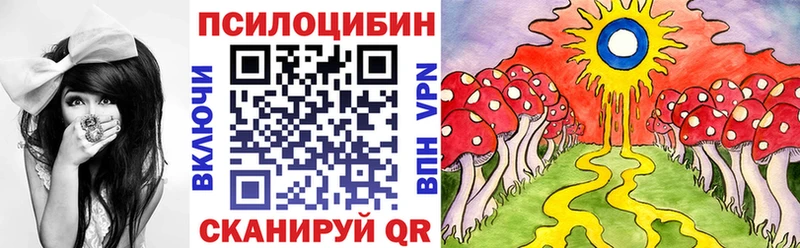 блэк спрут вход  Баксан  Галлюциногенные грибы Psilocybine cubensis 