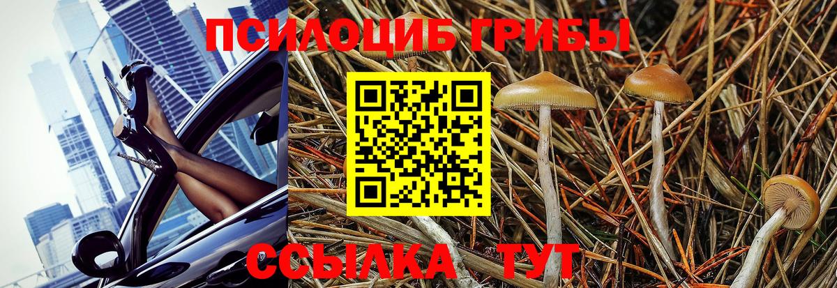 Баксан  Галлюциногенные грибы Magic Shrooms  Вход с VPN  Галлюциногенные грибы Cubensis 