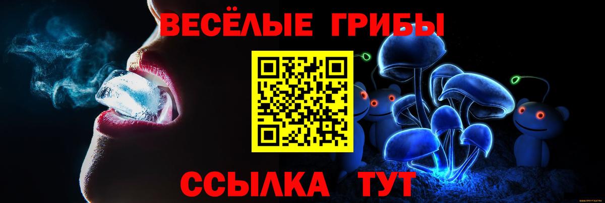 Галлюциногенные грибы Psilocybe Баксан