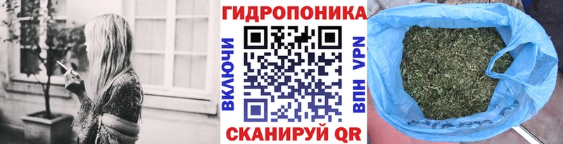Бошки марихуана Ganja  наркотики  blacksprut ссылка  Баксан 